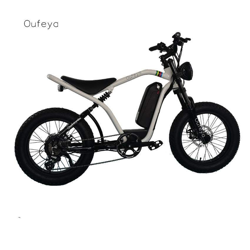 electric snow fat bike for adults 1000w electric bike 36V 48V 500W 750W 1000W fat tire ebike e bike electric bicyc