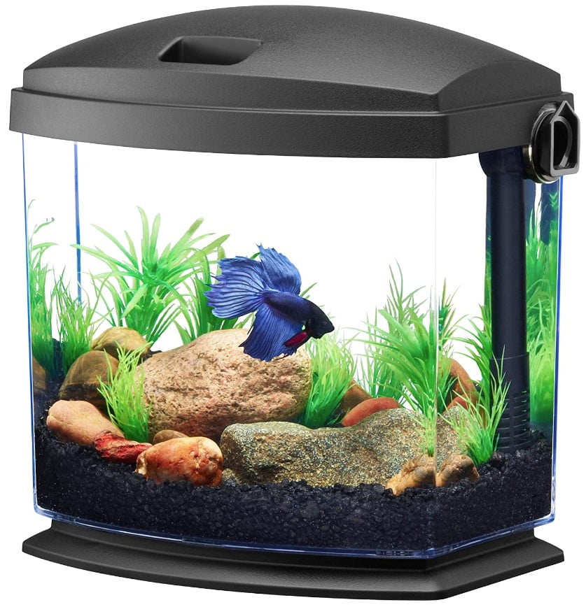 Aqueon Betta Bow Quickclean 1 Gallon