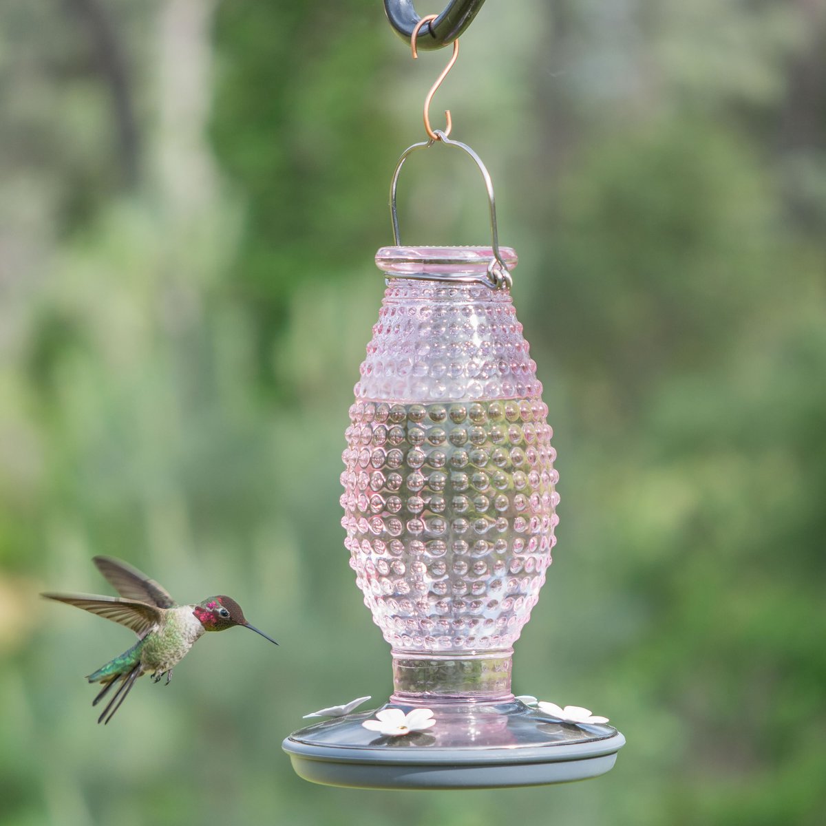 Perky-Pet Hobnail Vintage Hummingbird Feeder