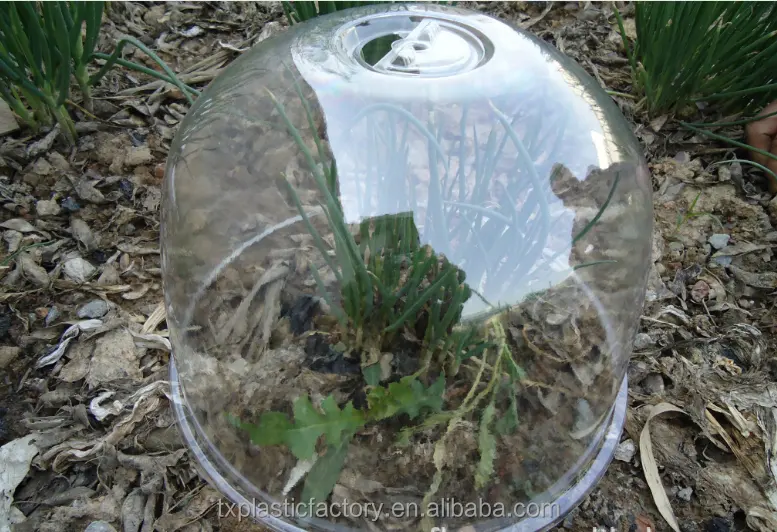 Factory supply high quality garden plastic bell cloche