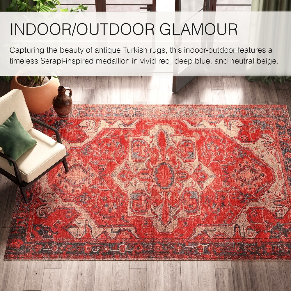 Leighton Indoor and Outdoor Medallion Area Rug