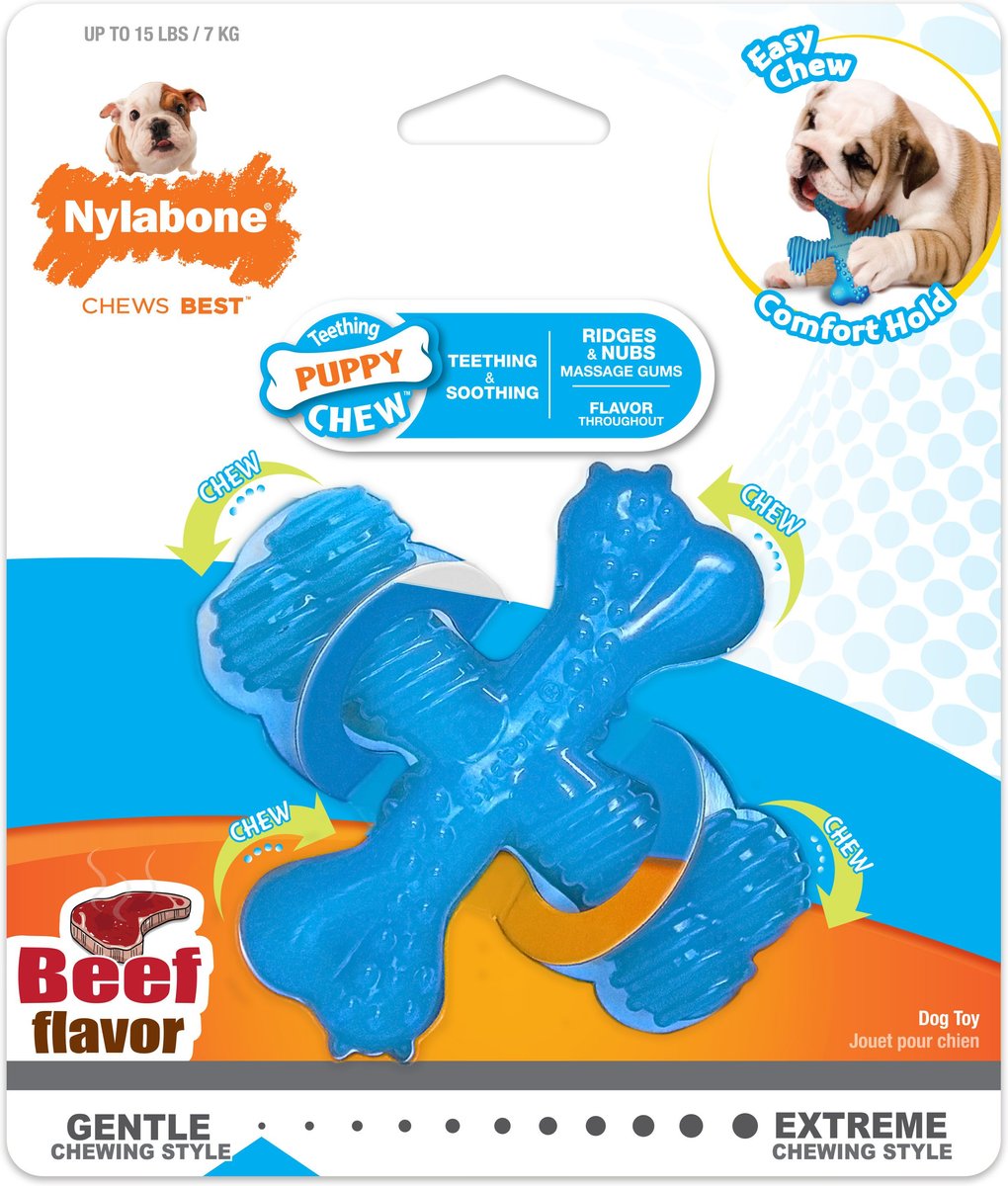 Nylabone Puppy Teething X Bone Beef Flavored Puppy Chew Toy， Small