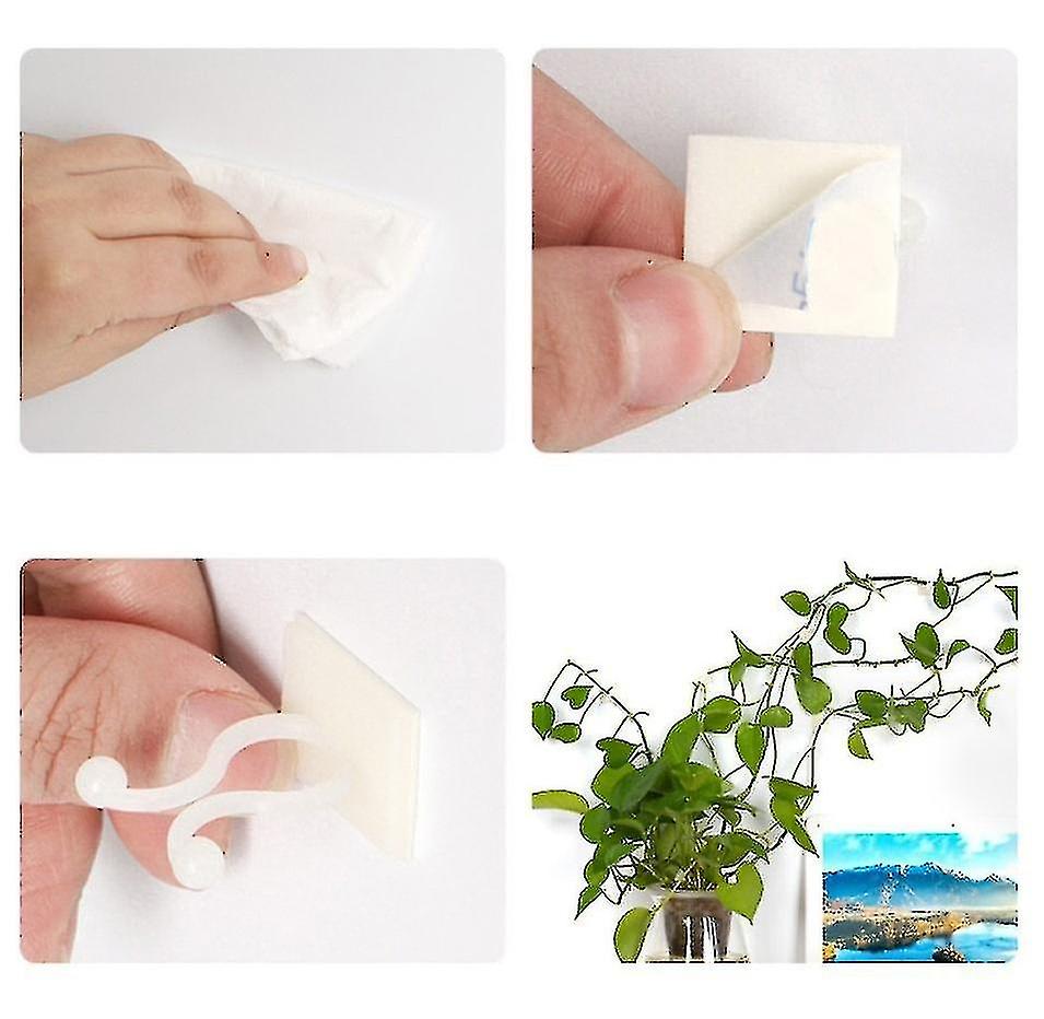 50 Pcs Paste Seamless Hook Green Radish Climbing Wall Fixer Green Plant Fixer Vine Green Vine Climbi