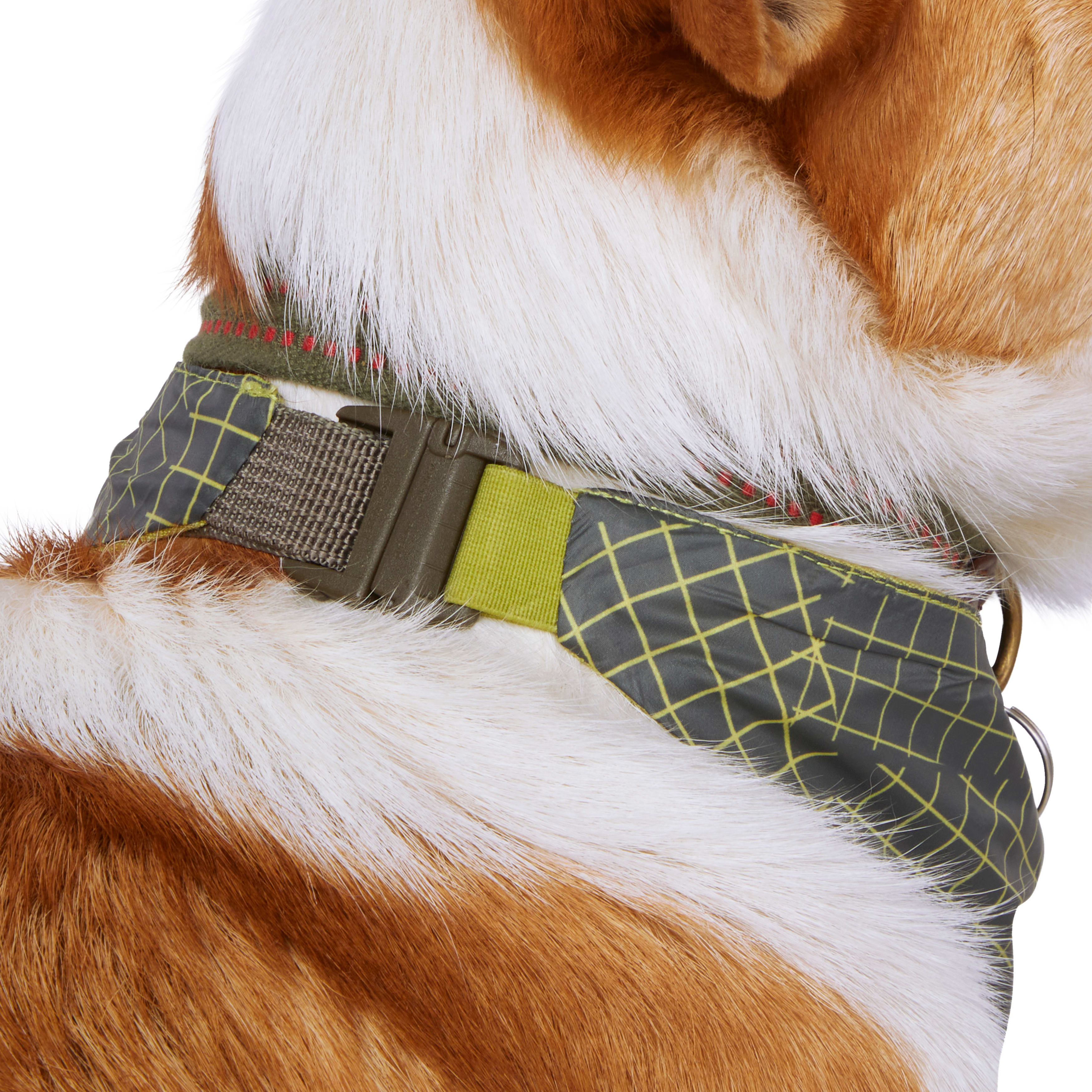 Reddy Green Reversible Dog Bandana， X-Small/Small