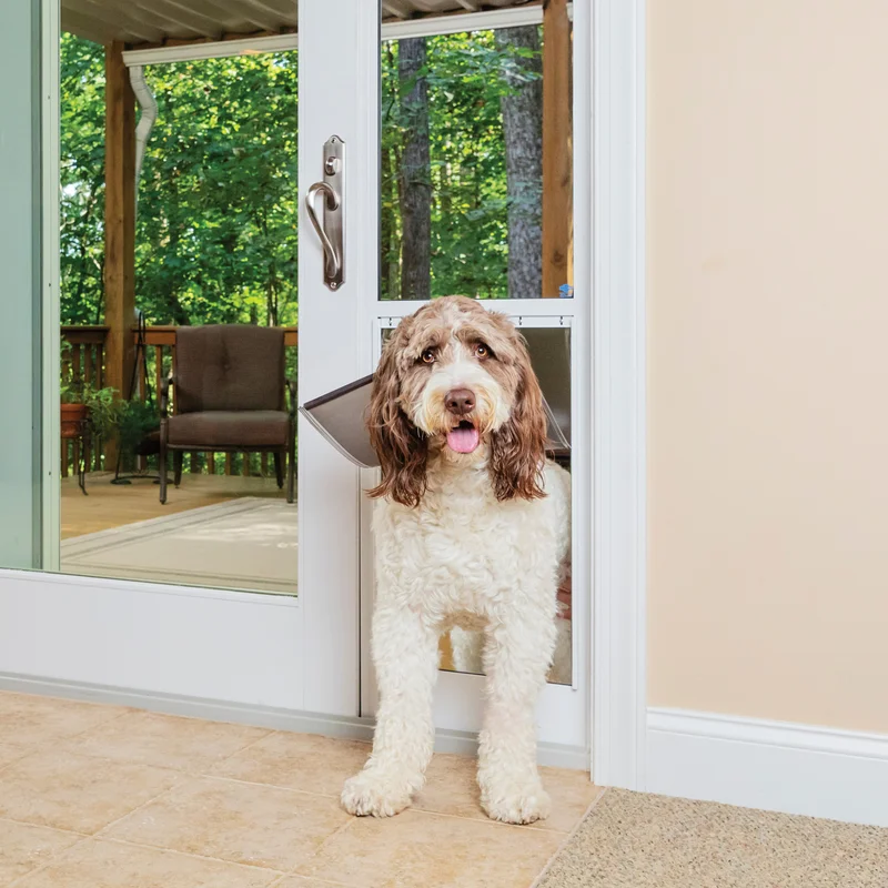 PetSafe PPA11-16640 1-Piece Sliding Glass Pet Door - Outdoor Access Patio Panel Insert for Dogs and Cats， Easy No-Cut Installation， Weather-Resistant Aluminum Insert， Includes Slide-in Closing Panel for Security