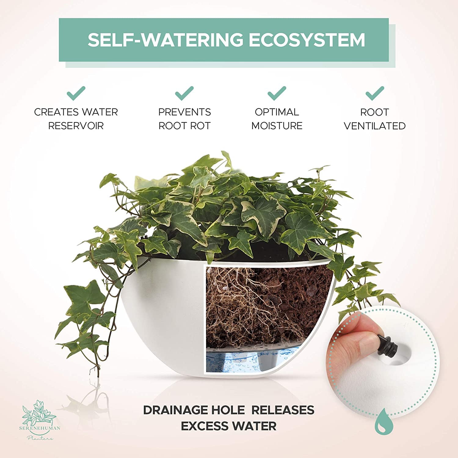 2X Self Watering Hanging Planters (10