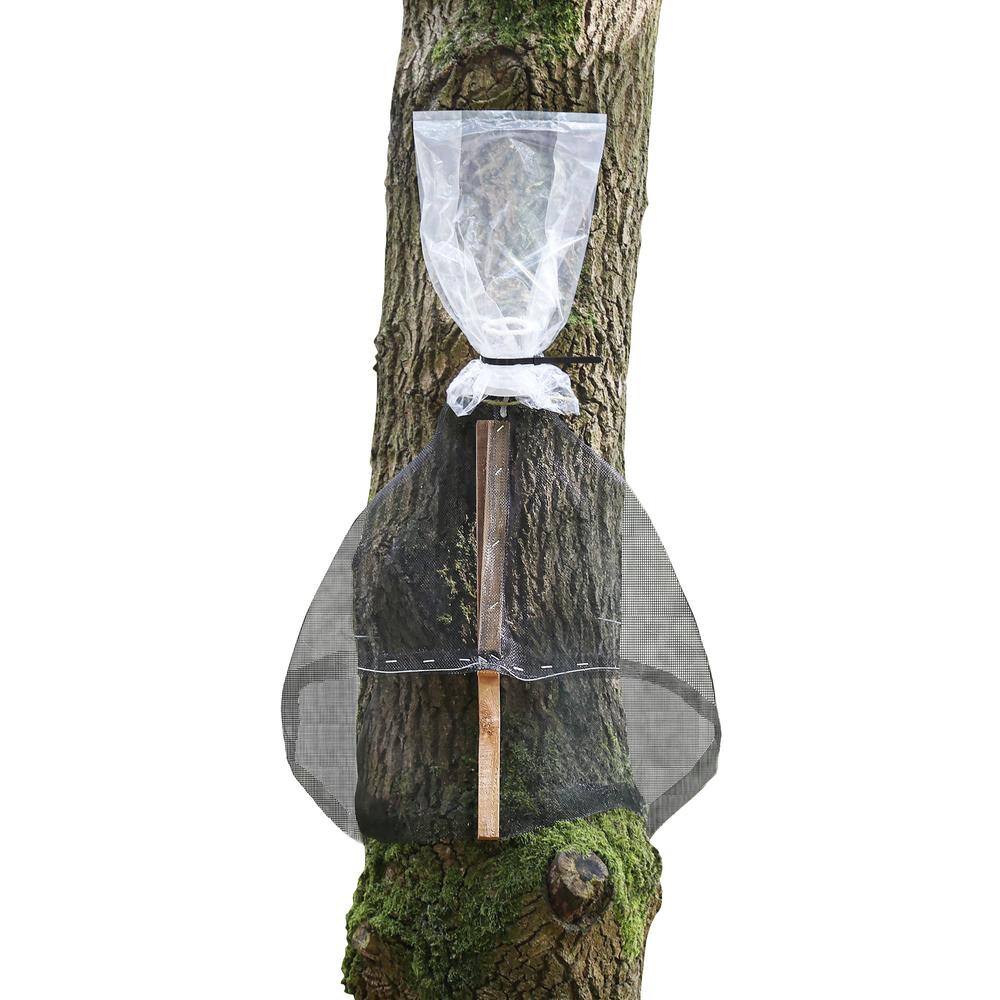 Spotted Lanternfly Trap WKNUY0BCIC