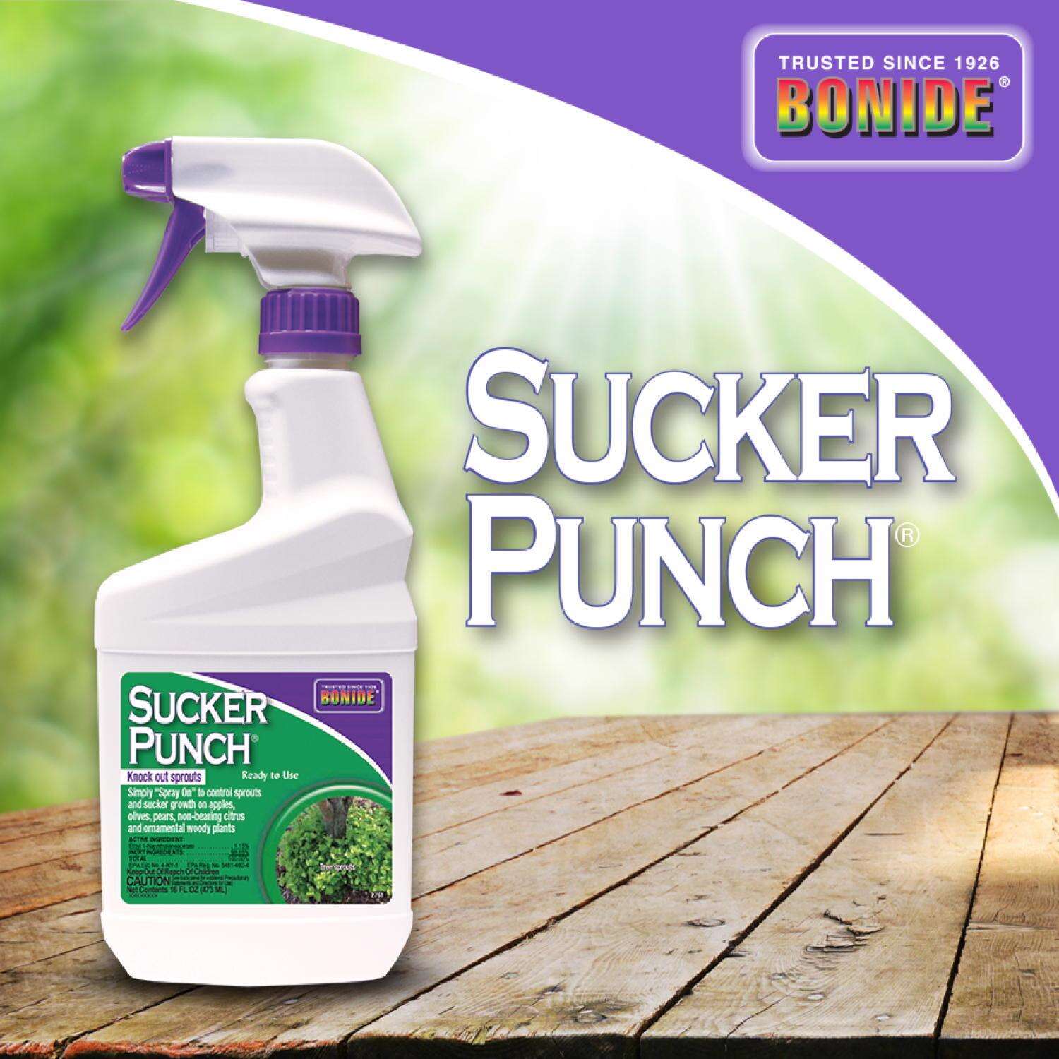 Bonide Sucker Punch Tree Roots Killer RTU Liquid 16 oz