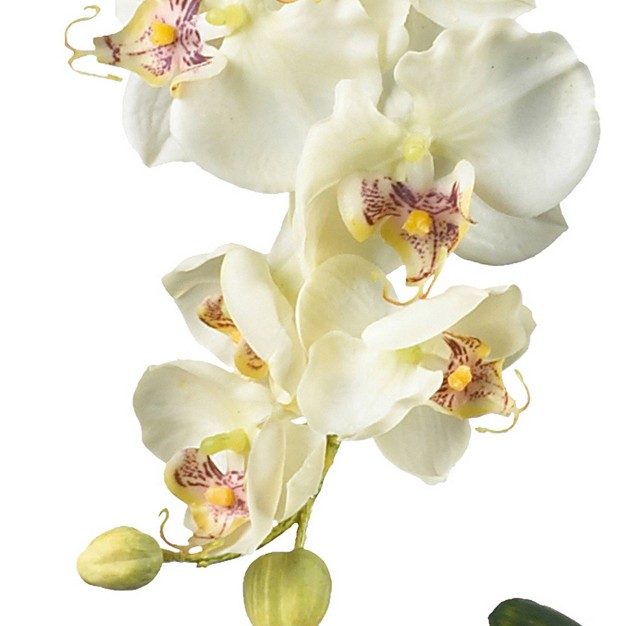 X 16 quot Artificial Phalaenopsis Orchid With Glass Vase White Nearly Natural