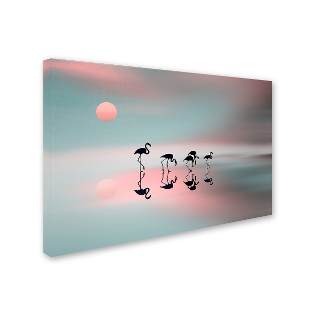 Trademark Fine Art natalia Baras x27 family Flamingos x27 Canvas Art