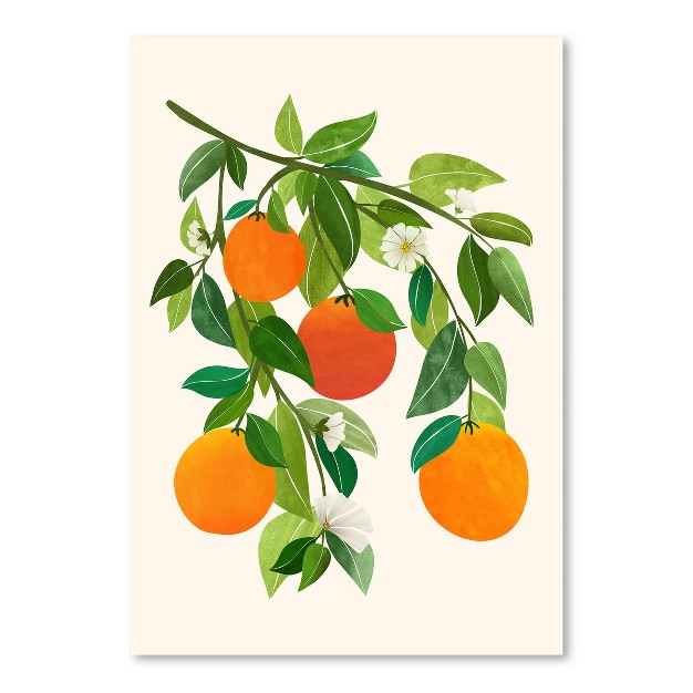 Americanflat Botanical Oranges And Blossoms Ii By Modern Tropical Poster