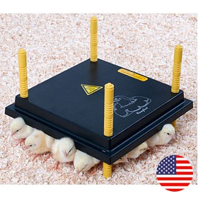 My Favorite Chicken Chick Brooder Heating Plate and Anti-Roost Cone Set - Warms Up to 20 Chicks - 22 Watts (12x12)