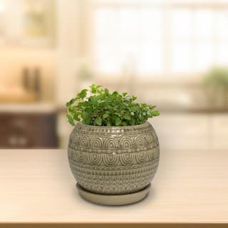 Trendspot 6 in. Greige Seven Seas Ceramic Globe Planter ECR00735S-060H