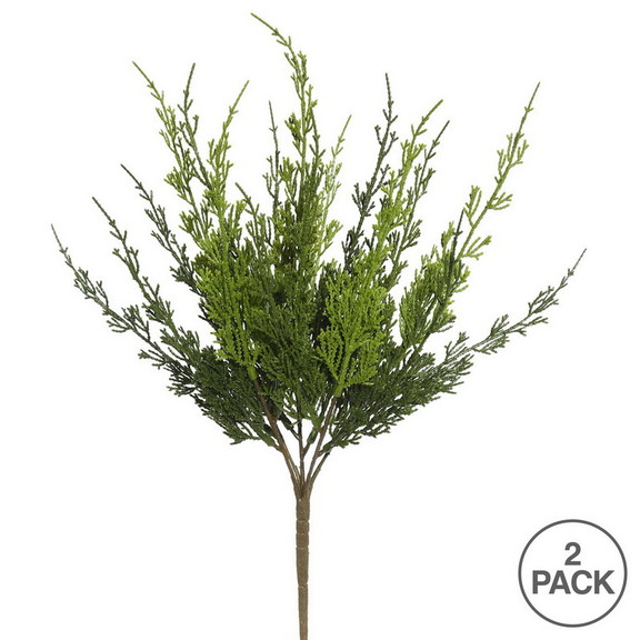 Vickerman FK171303 2 19 Monterey Cypress Bush 2/p...