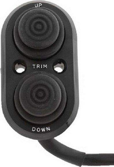 T H Marine TTC1DP Transom Trim Control