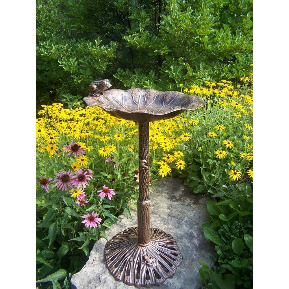 Frog Bird Bath HD5012-AB