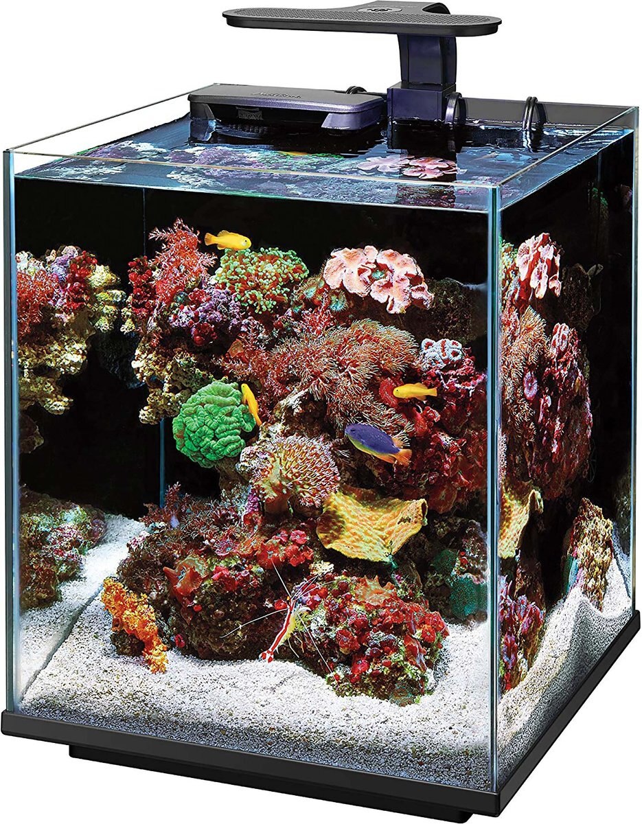 Coralife Marine Aquarium Clip-On LED Light