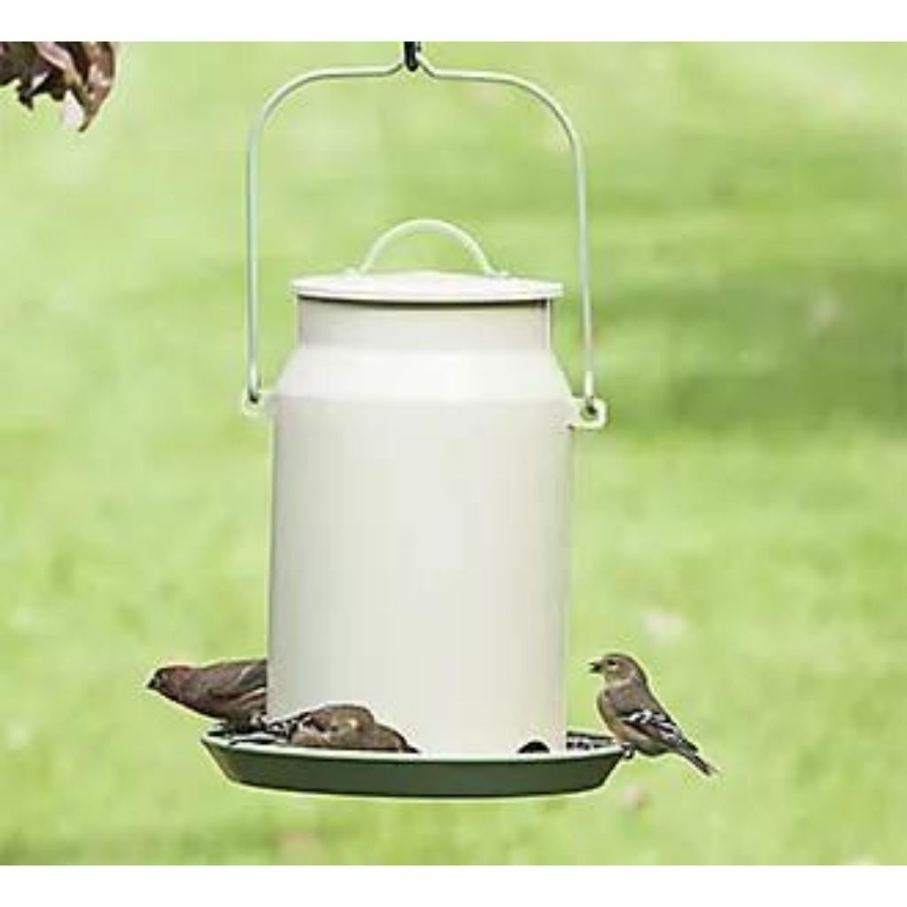 Woodstream Corp Milk Pail Hopper Bird Feeder