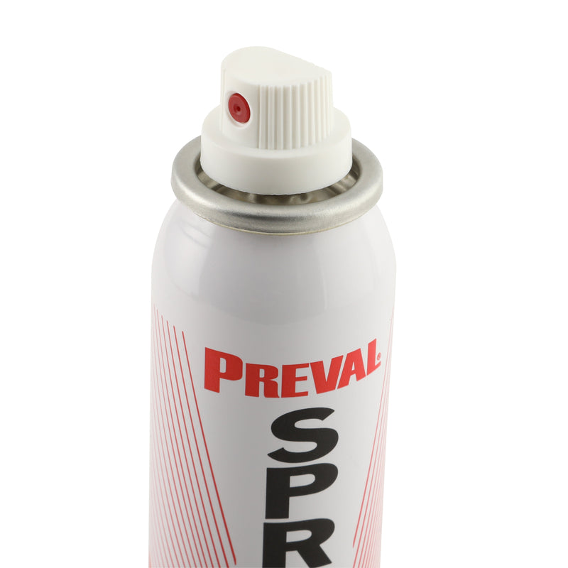 PAINT SPRYR SYSTEM 6OZ