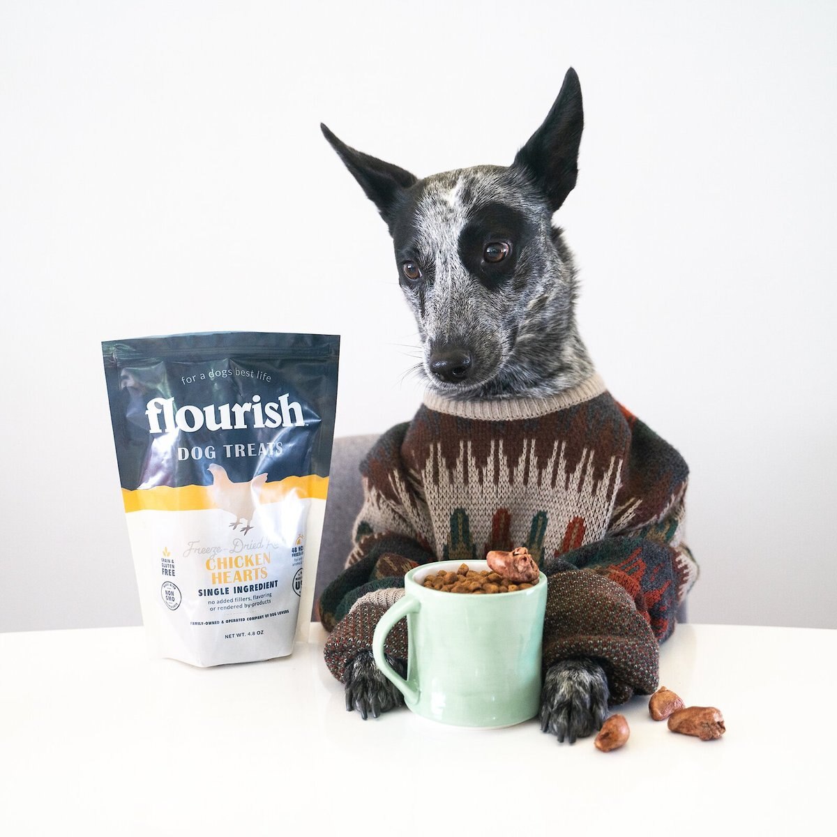 Flourish Chicken Hearts Freeze-Dried Dog Treats