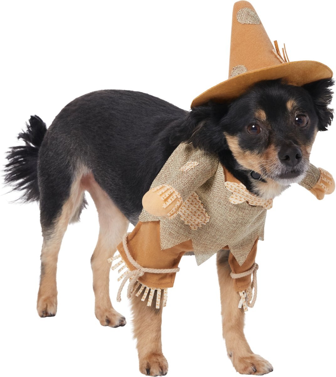 Frisco Front Walking Scarecrow Dog and Cat Costume