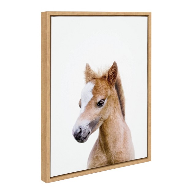 X 24 quot Sylvie Animal Studio Baby Horse Framed Canvas By Amy Peterson Natural Kate amp Laurel All Things Decor