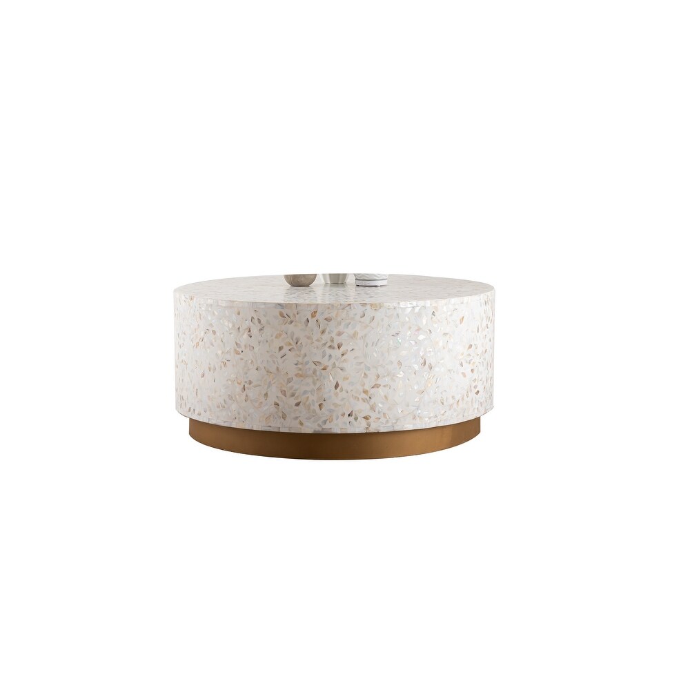 Luxe Handmade Mother of Pearl Coffee Table