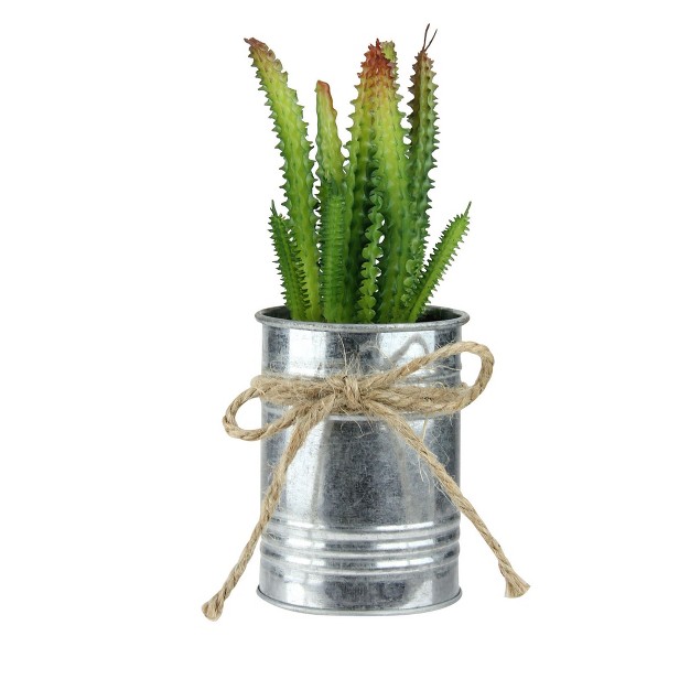 Ombre Cactus Artificial Potted Plant Green silver