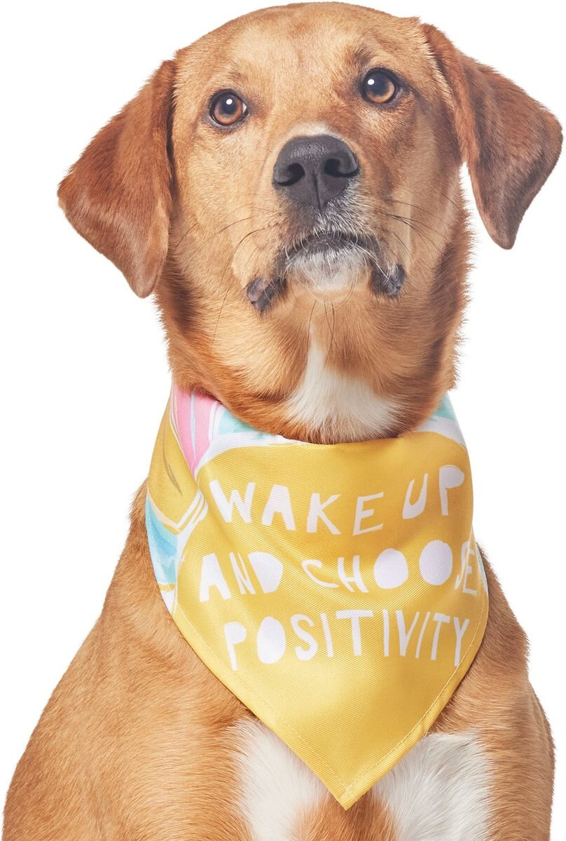 Frisco Wake Up Positive Dog and Cat Bandana