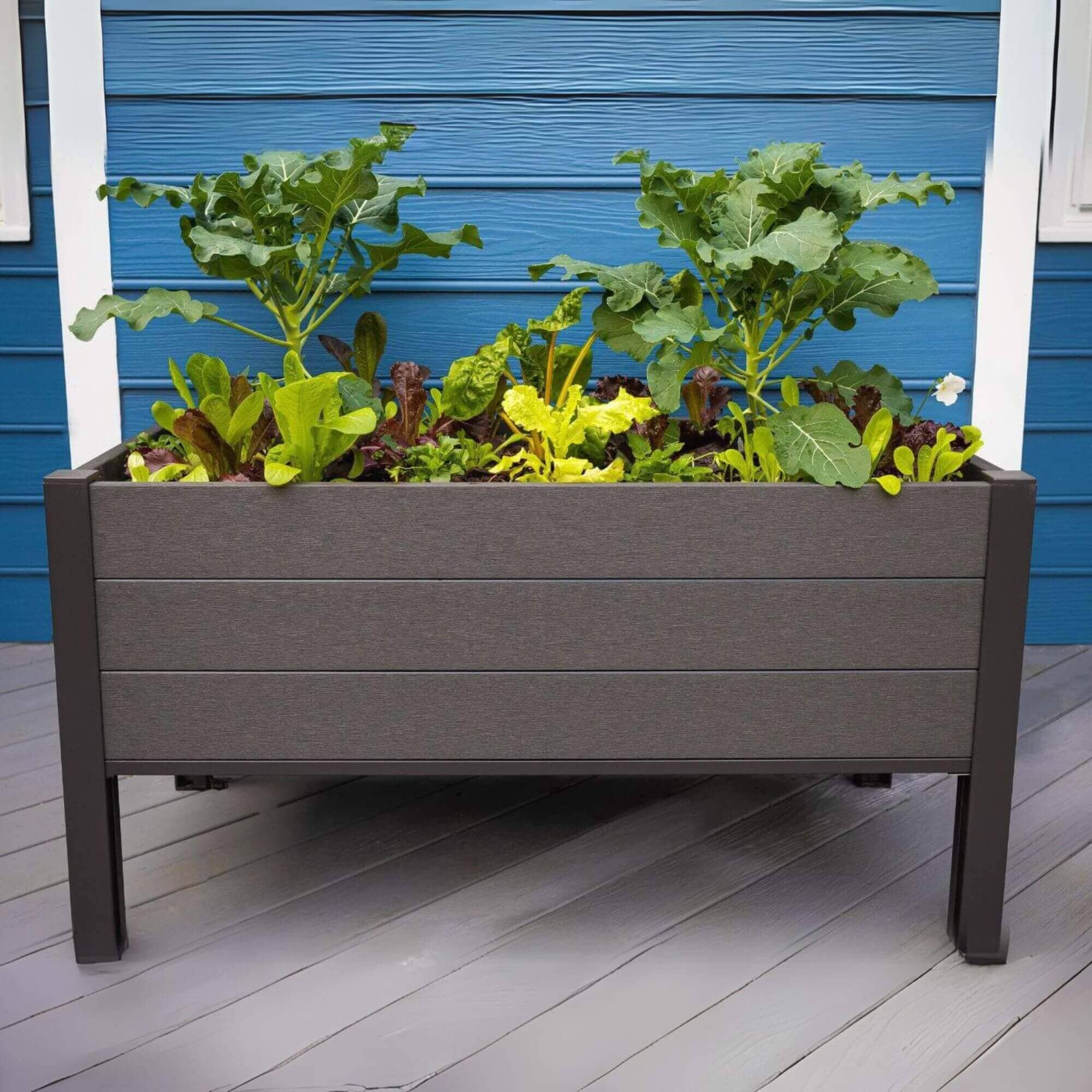 The Skyline Planter (24” x 48” x 25”) Elevated Garden Bed