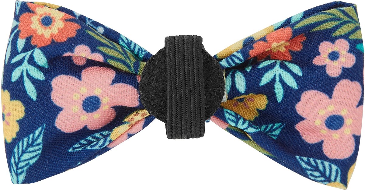 Frisco Fashion Bow， Tropical Floral