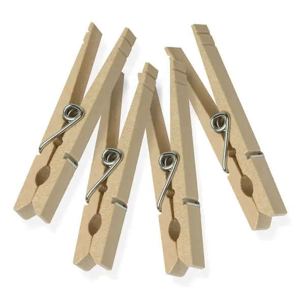 Honey Can Do 100-Count Wooden Clothespins