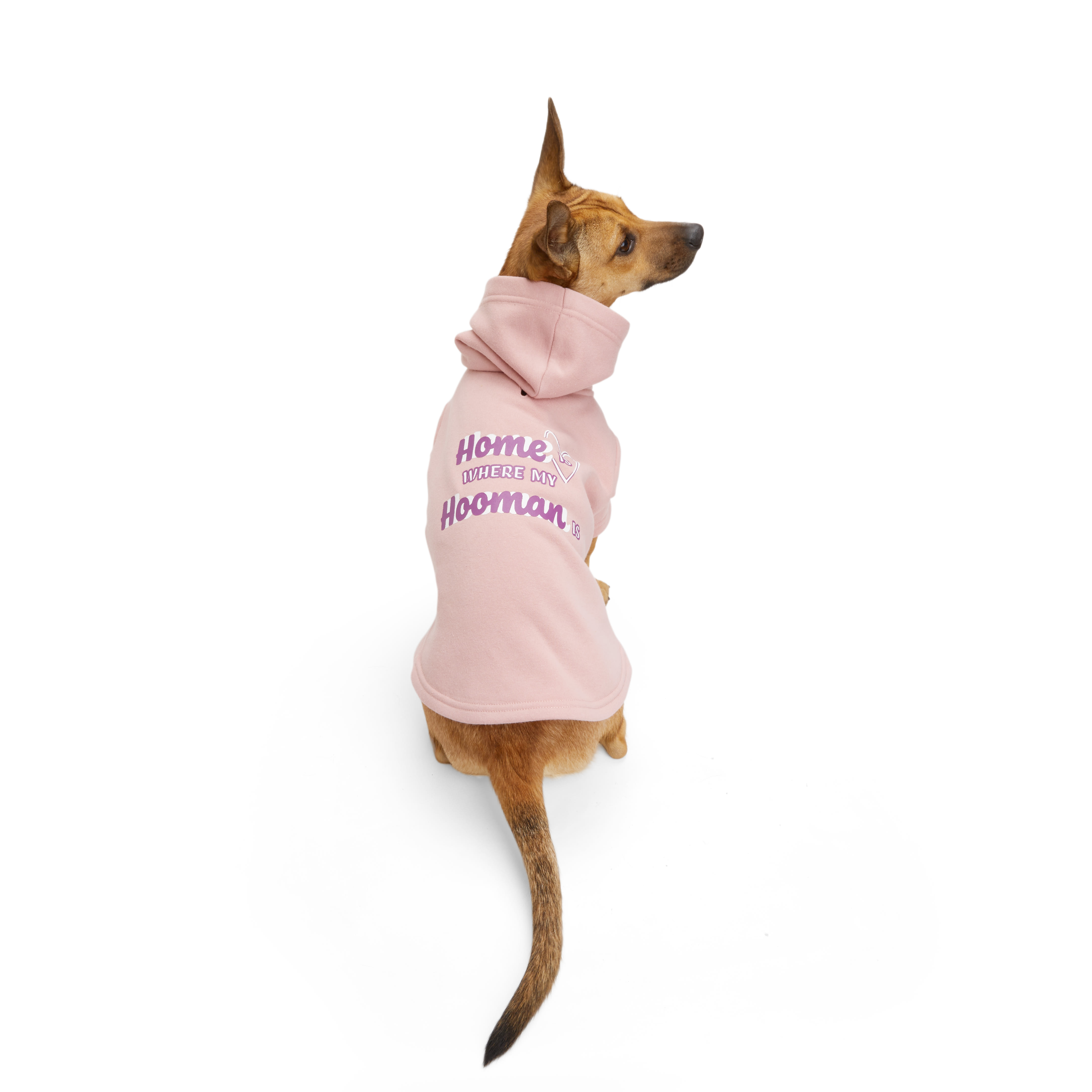 YOULY Home Dog Hoodie， XX-Small