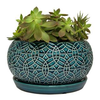 Trendspot 10 in. Dia Blue Rivage Ceramic Bowl Planter Decorative Pots CR00665S-100M