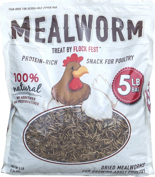 Flock Fest Dried Mealworms Adult Poultry Treats， 5-lb bag