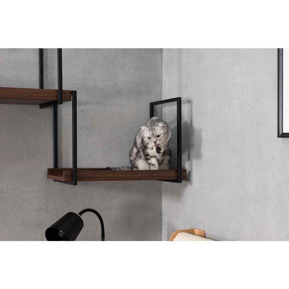 MyZoo Avenue 23.5 in. Walnut Wall-mounted Cat Walkway Superhighway MZ-AVENUE60-W