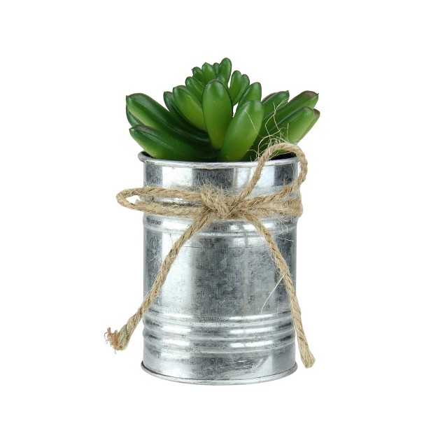 Pachyveria Succulent Artificial Potted Plant Green silver