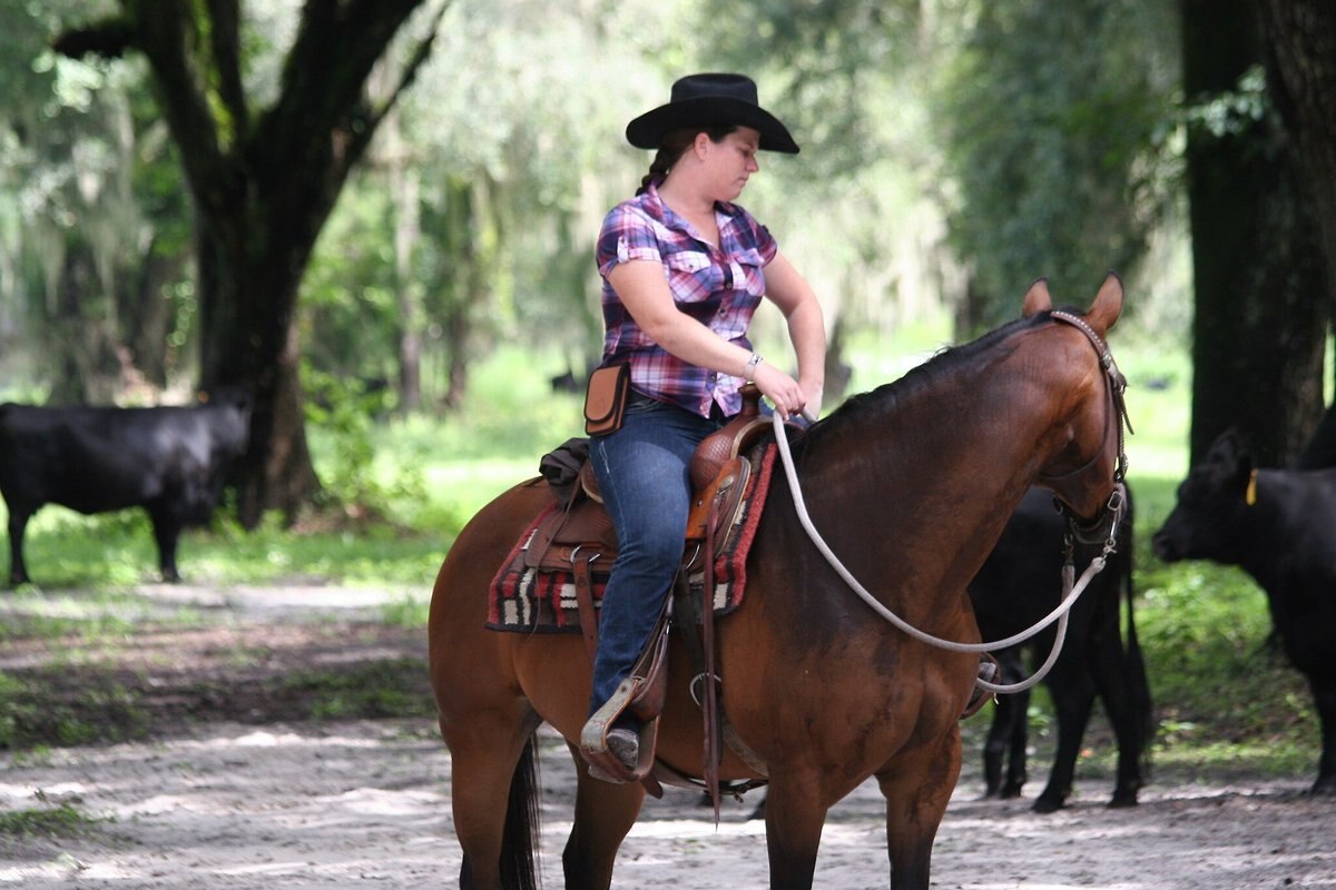 Handy Holsters The Horse Holster， Light Brown