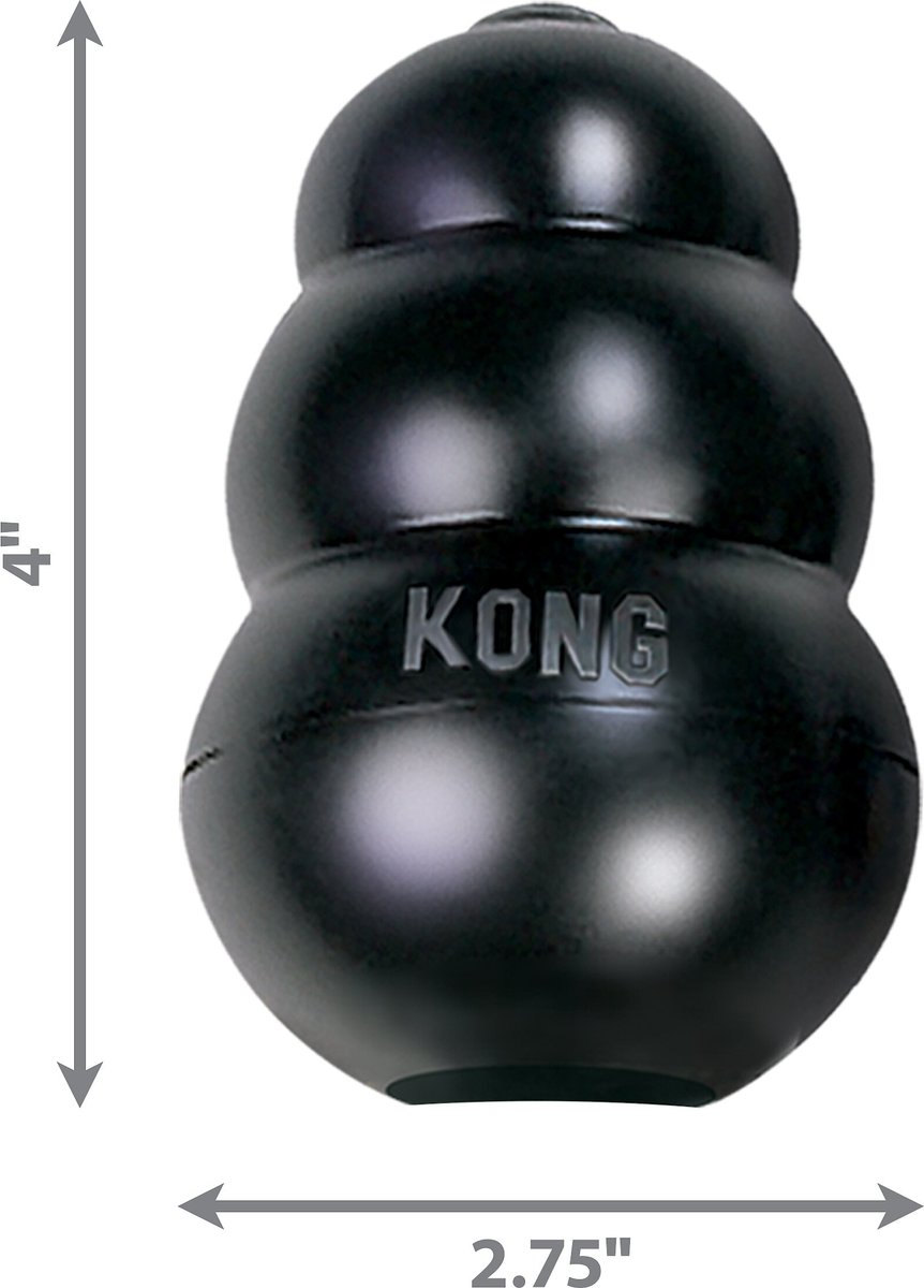 KONG Extreme Dog Toy