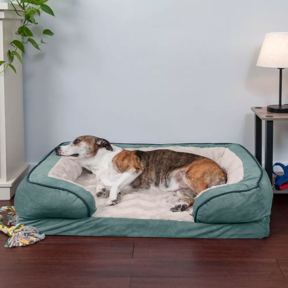 FurHaven Velvet Waves Perfect Comfort Orthopedic Sofa Cat and Dog Bed， Celadon Green， Large