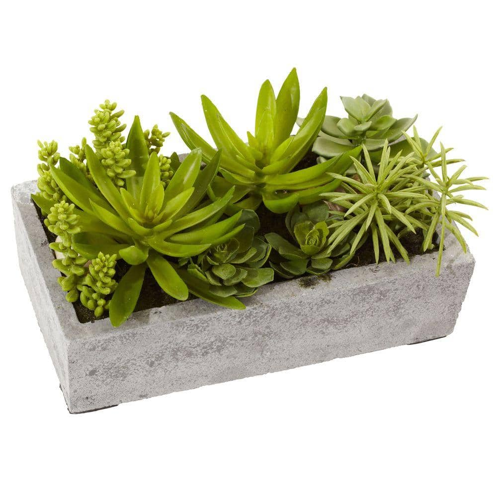 Nearly Natural Artificial Succulent Garden with Concrete Planter 4841