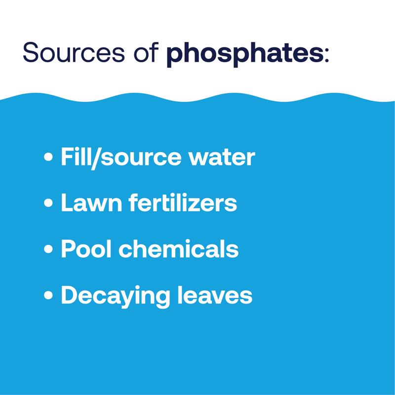 PHOSPHATE RMVR LQD 1QT