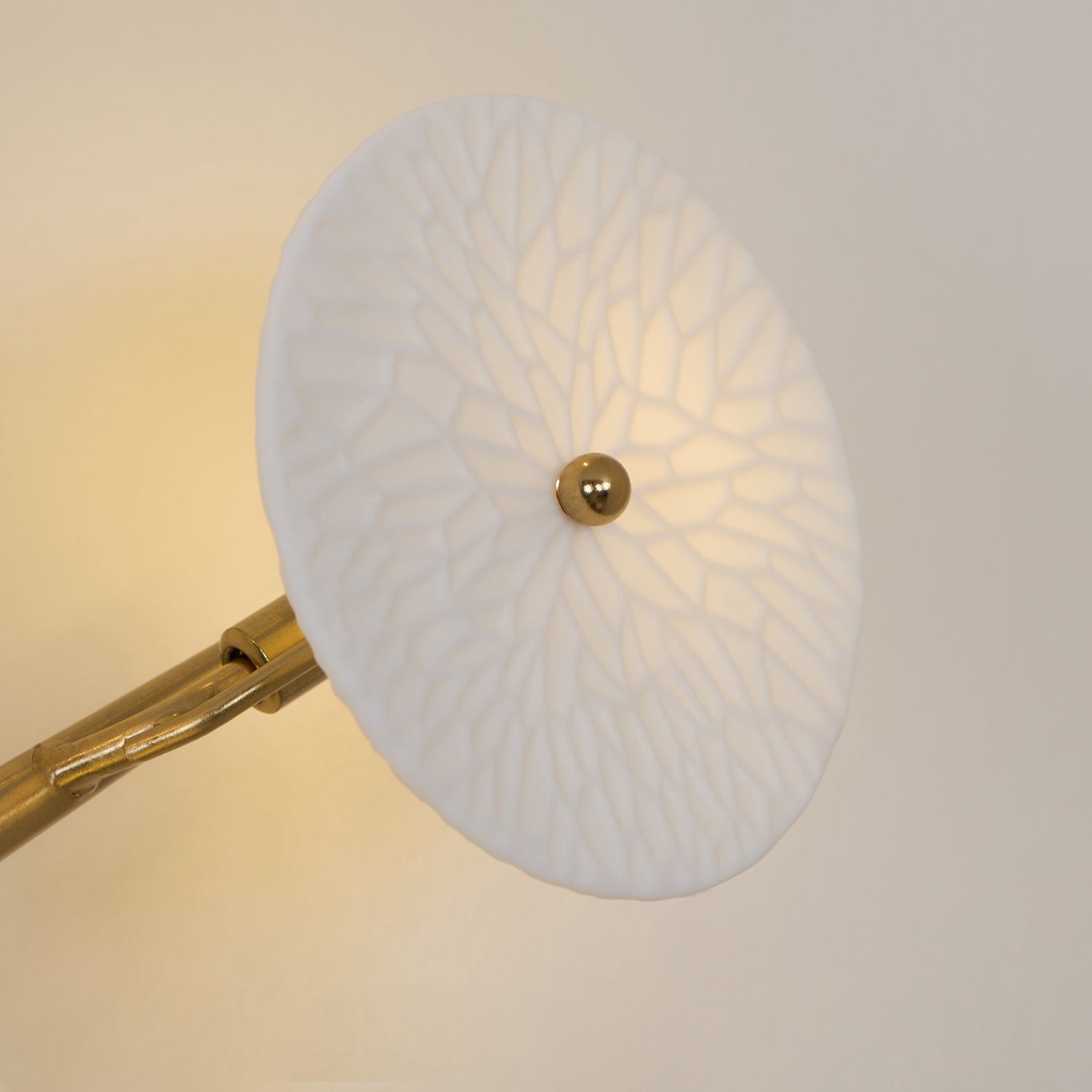 Lotus Petal Wall Lamp