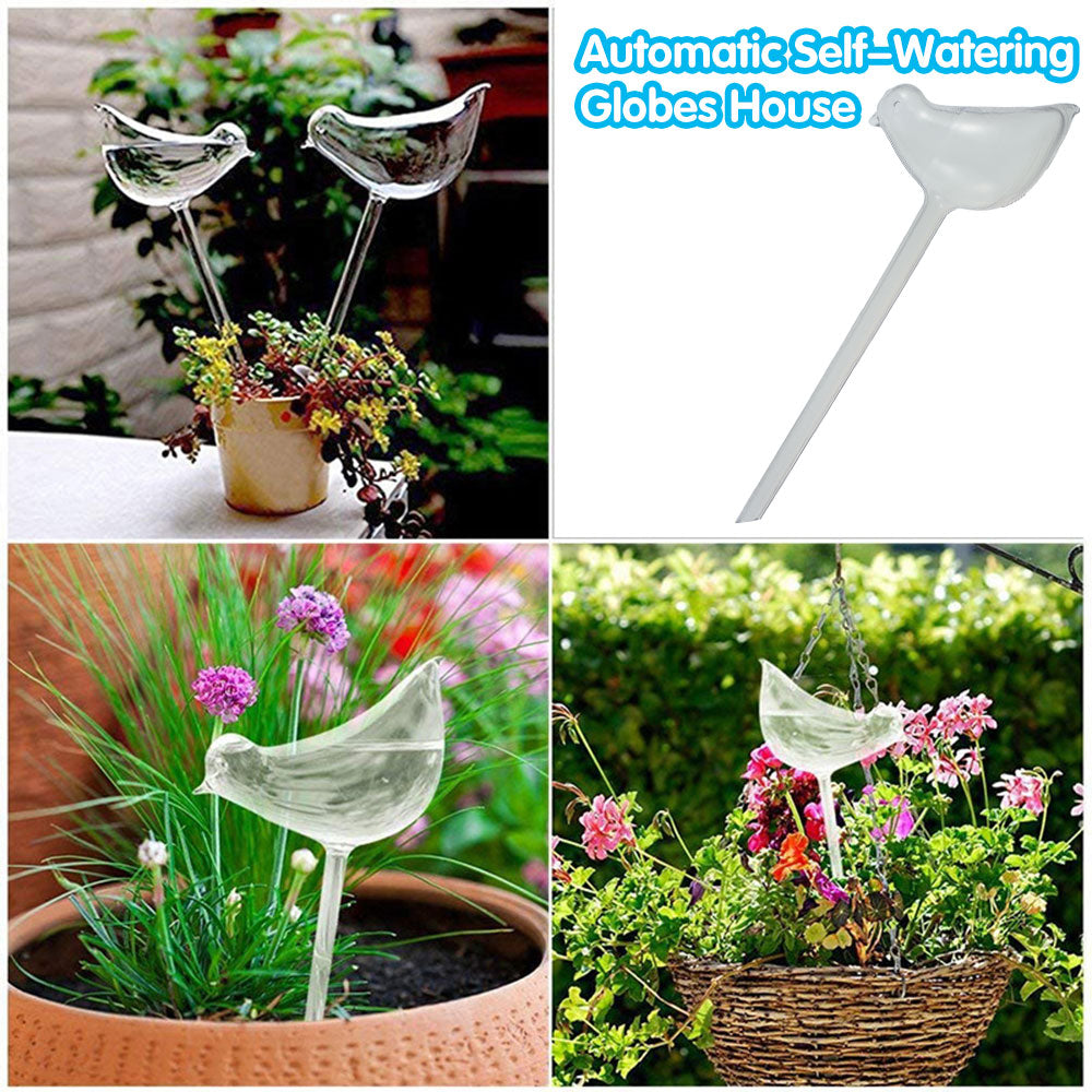 HOTBEST Watering Aqua Globes Plant Automatic Watering Bulbs Bird Glass Automatic Plant Waterer HaBlown Clear Glass (6Pcs)