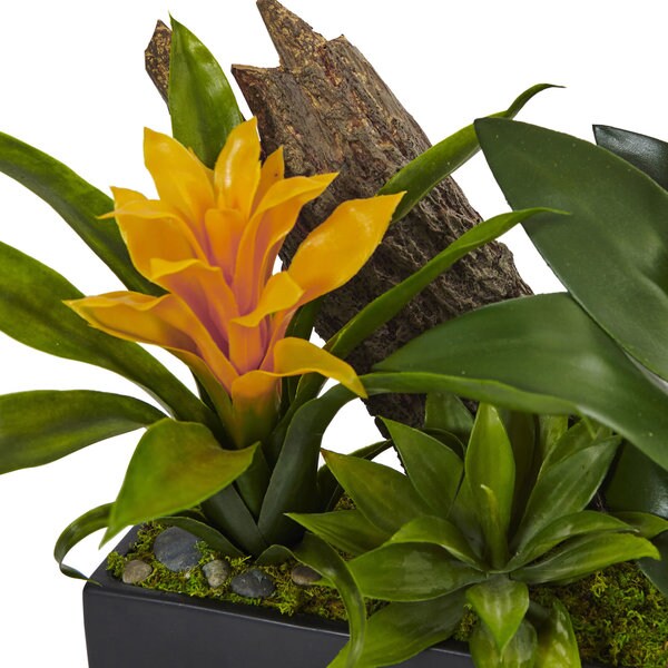 Nearly Natural Dendrobium and Bromeliad Arrangement