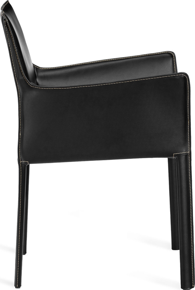 Jada Arm Chair   Contemporary   Armchairs And Accent Chairs   by HedgeApple  Houzz