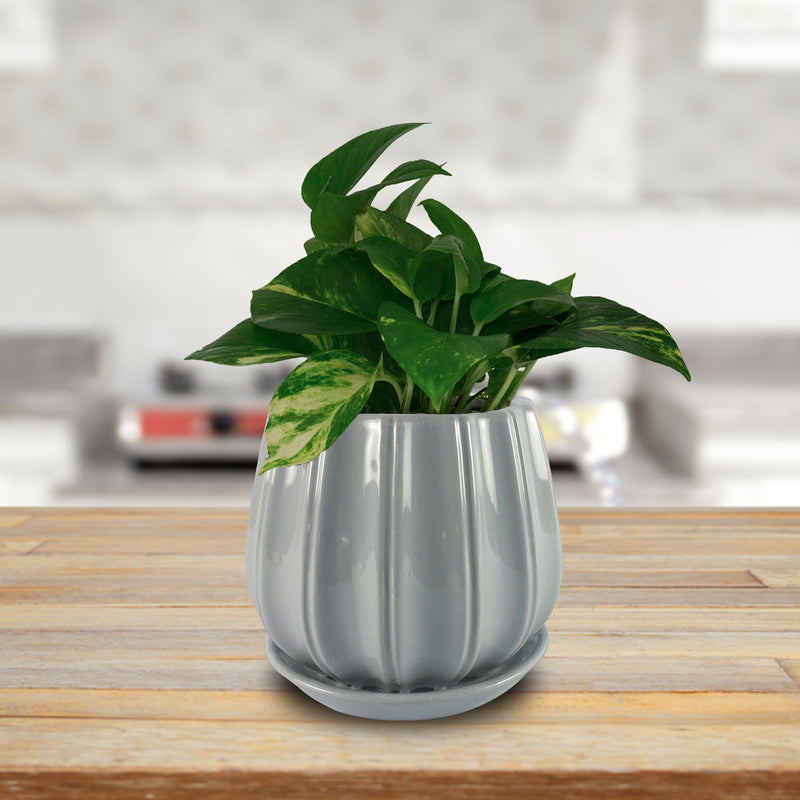 PLANTER CONTOUR GRAY 8