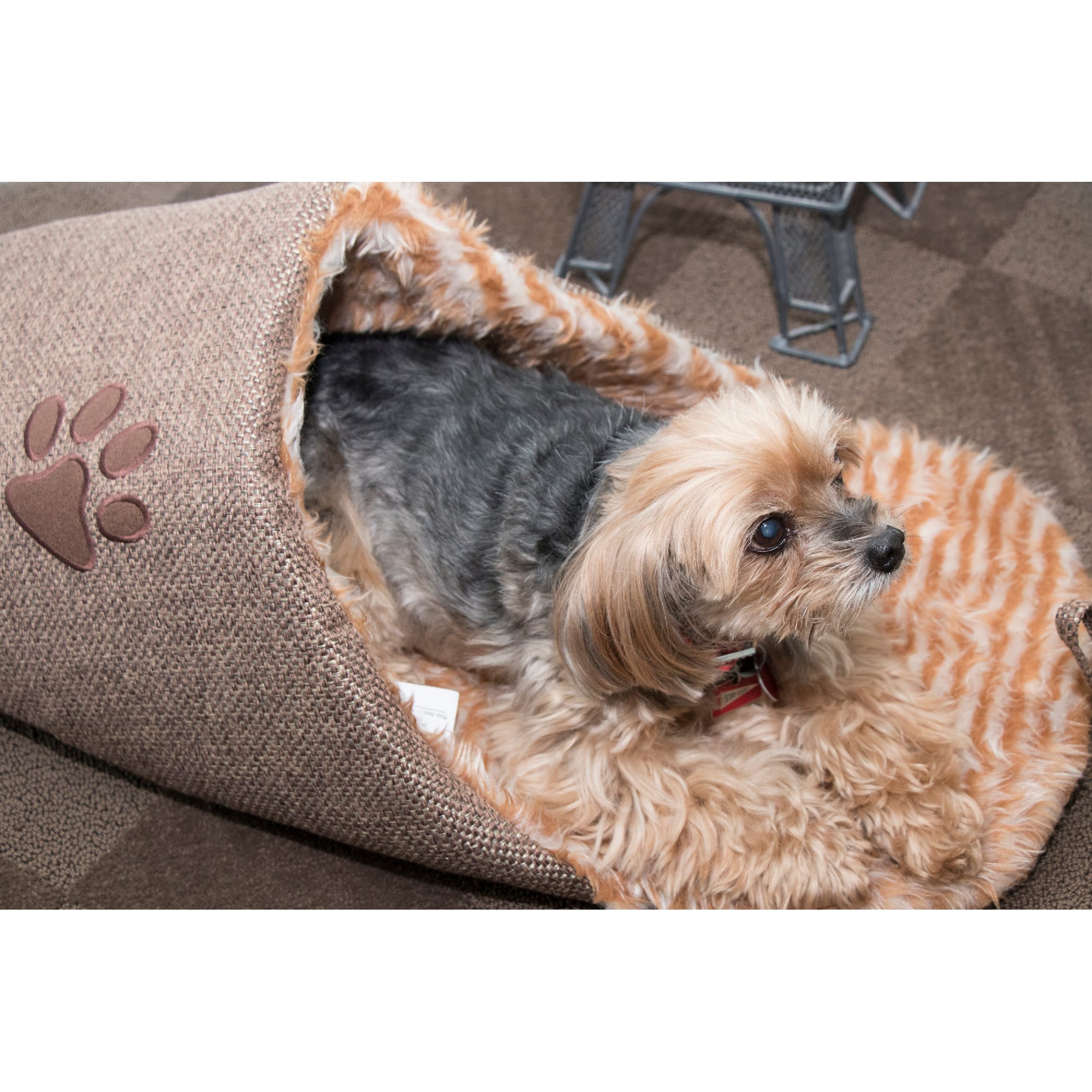 Pet Life Slip-On Fashionable Slipper Dog Bed， 28.5