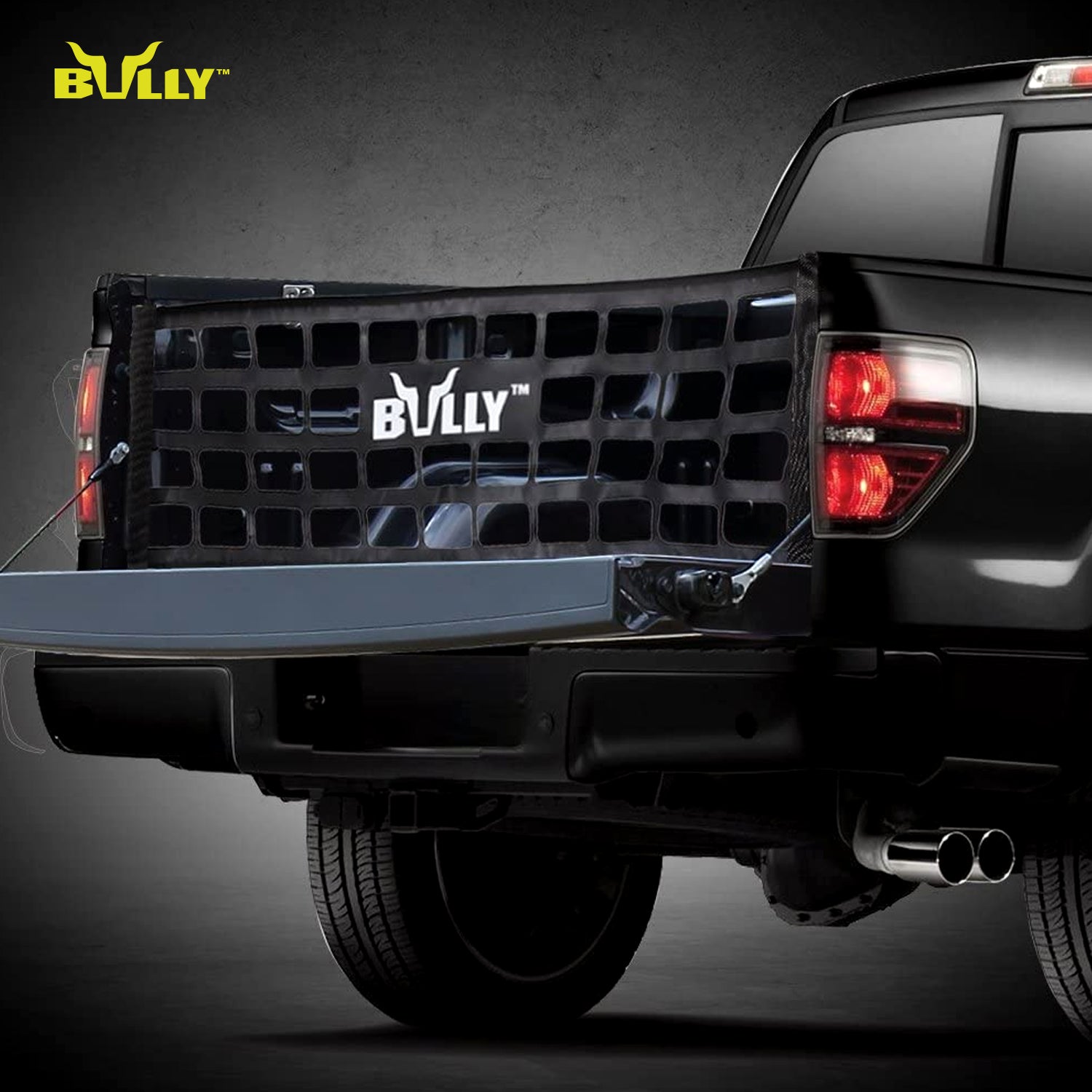 Bully Tailgate Net for Full-Size Truck