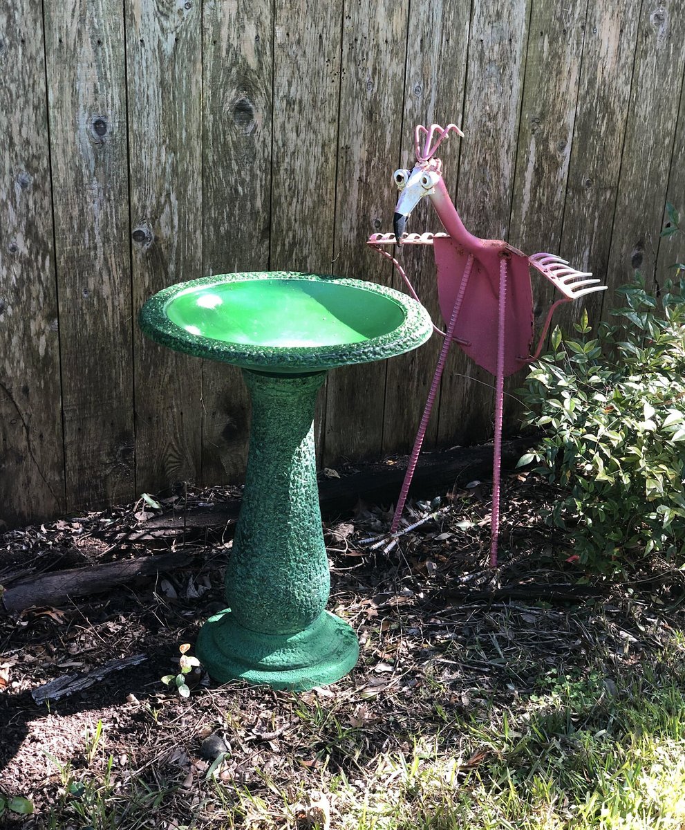 Exaco Bird Bath， 1.3-gal